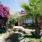 Antik Zeytin & Art 3*