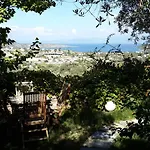 Πανσιόν Antik Zeytin & Art