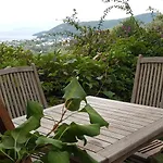 Πανσιόν Antik Zeytin & Art 3*