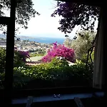Antik Zeytin & Art Golturkbuku