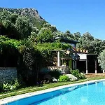 Antik Zeytin & Art Πανσιόν