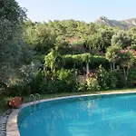 Πανσιόν Antik Zeytin & Art Golturkbuku