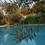 Antik Zeytin & Art Πανσιόν Golturkbuku
