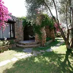 Πανσιόν Antik Zeytin & Art 3*