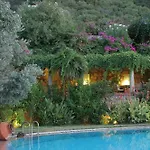 Πανσιόν Antik Zeytin & Art
