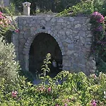 Antik Zeytin & Art 3* Golturkbuku
