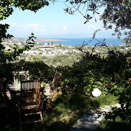 Guest house Antik Zeytin & Art