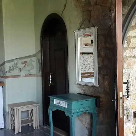 Πανσιόν Antik Zeytin & Art