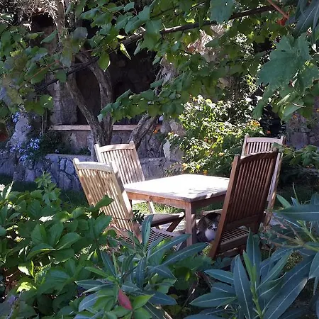 Guest house Antik Zeytin & Art