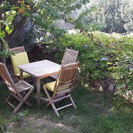 Guest house Antik Zeytin & Art Golturkbuku