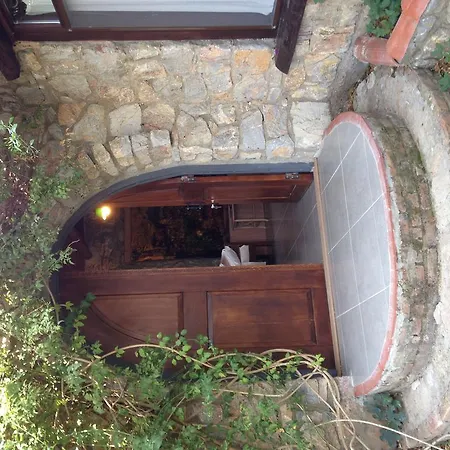 Guest house Antik Zeytin & Art 3*