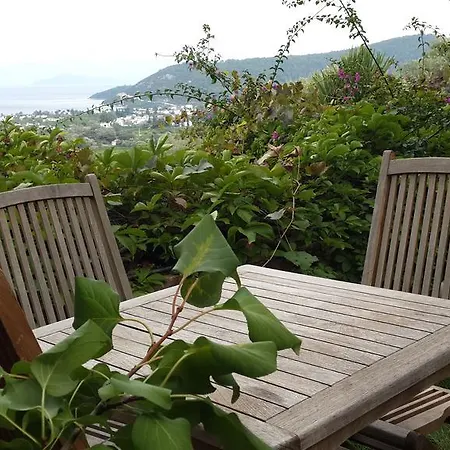 Guest house Antik Zeytin & Art 3*