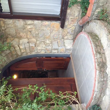 Πανσιόν Antik Zeytin & Art Golturkbuku