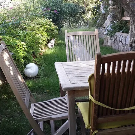 Guest house Antik Zeytin & Art