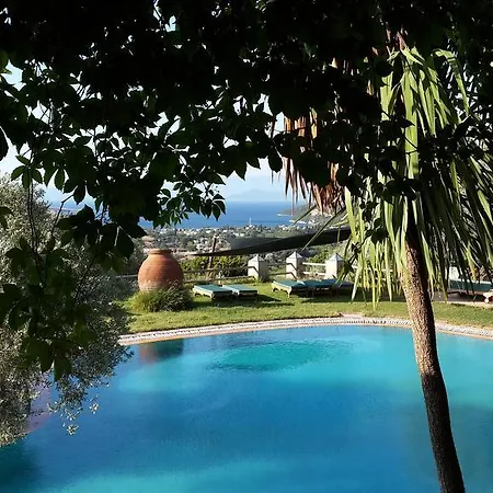 Πανσιόν Antik Zeytin & Art