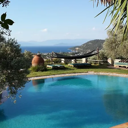 Πανσιόν Antik Zeytin & Art