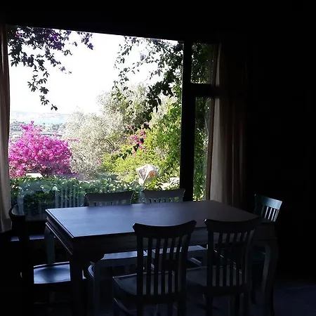 Guest house Antik Zeytin & Art 3*
