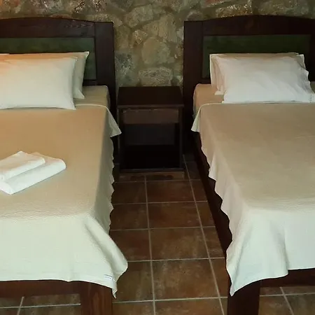 Πανσιόν Antik Zeytin & Art 3*