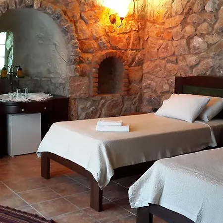 Guest house Antik Zeytin & Art Golturkbuku