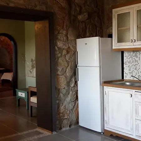 Guest house Antik Zeytin & Art 3*
