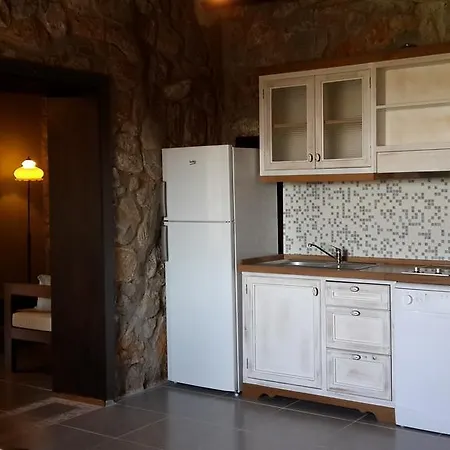 Πανσιόν Antik Zeytin & Art Golturkbuku