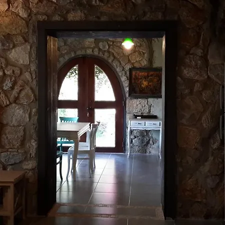 Πανσιόν Antik Zeytin & Art