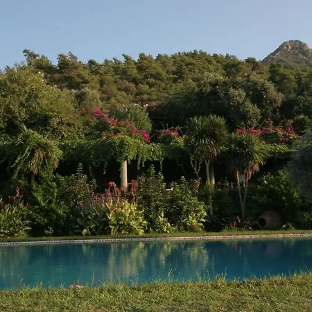 Antik Zeytin & Art Guest house Golturkbuku