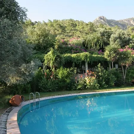 Guest house Antik Zeytin & Art Golturkbuku