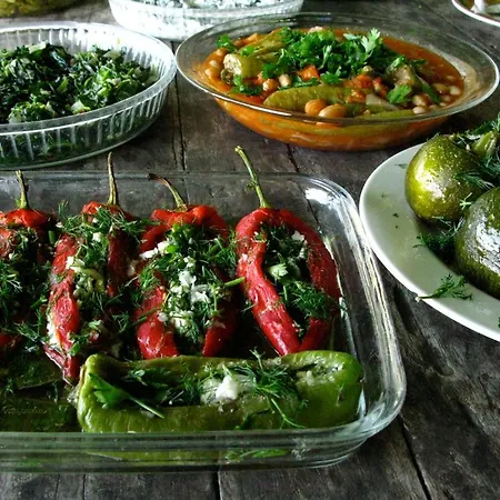 Antik Zeytin & Art Πανσιόν