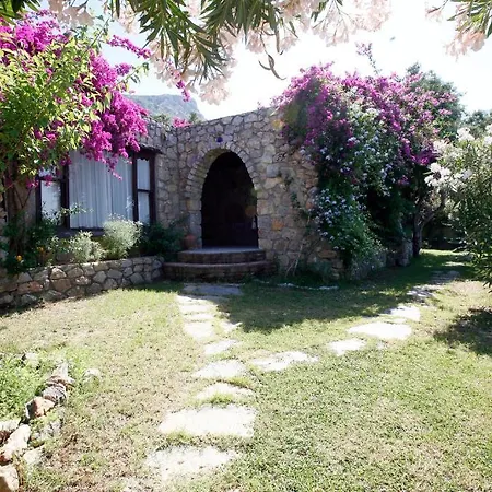 Antik Zeytin & Art Πανσιόν Golturkbuku