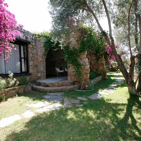 Πανσιόν Antik Zeytin & Art 3*