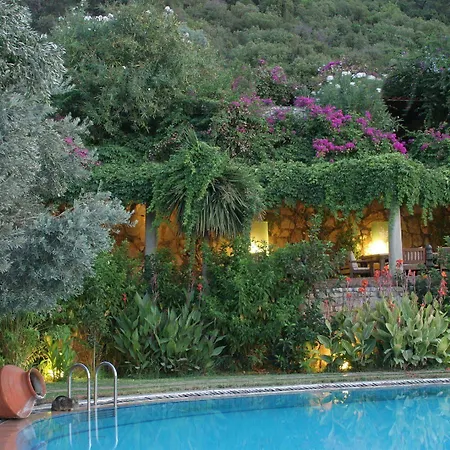 Πανσιόν Antik Zeytin & Art