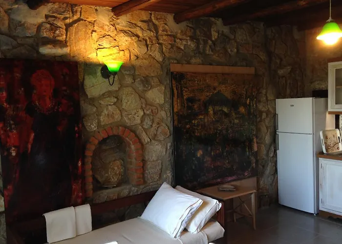 Antik Zeytin & Art גולטורקבוקו