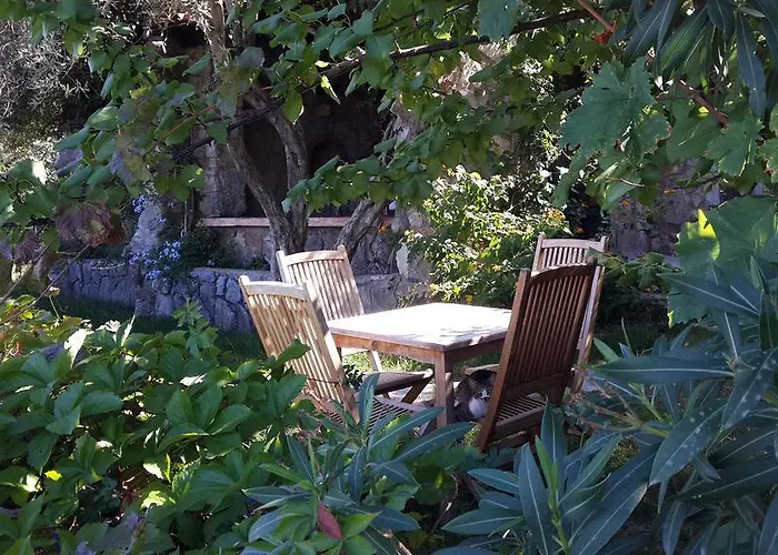 בית הארחה Antik Zeytin & Art