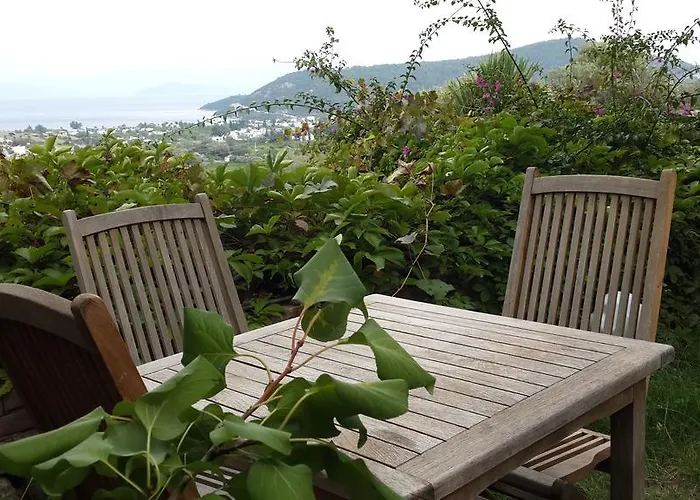 Pensjonat Antik Zeytin & Art 3*