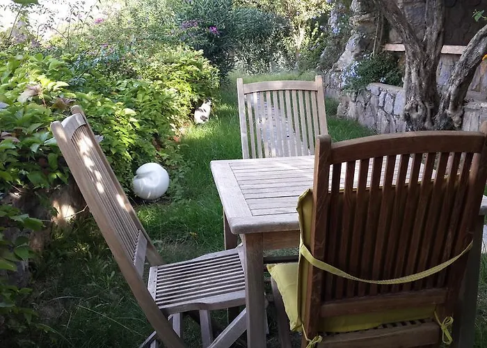 Pensjonat Antik Zeytin & Art