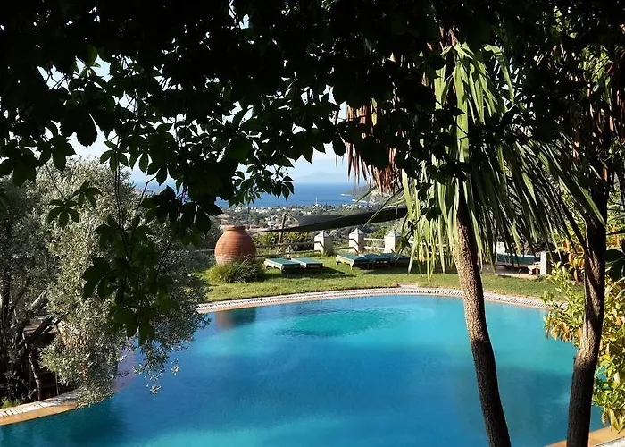 בית הארחה Antik Zeytin & Art