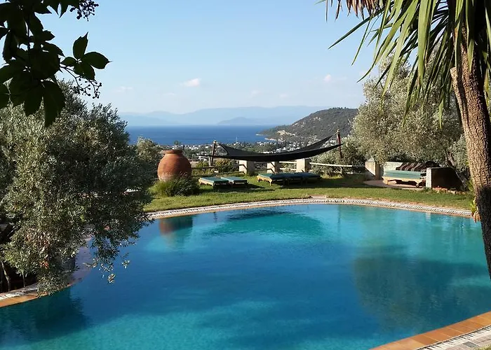 בית הארחה Antik Zeytin & Art