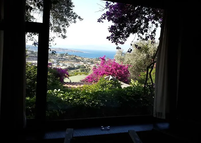 Antik Zeytin & Art גולטורקבוקו