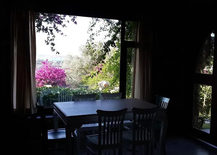 בית הארחה Antik Zeytin & Art 3*