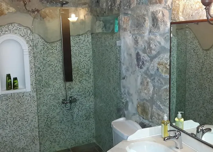 Antik Zeytin & Art גולטורקבוקו