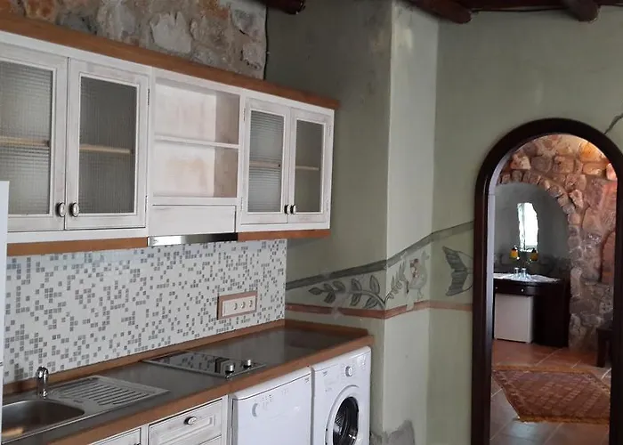 בית הארחה Antik Zeytin & Art גולטורקבוקו