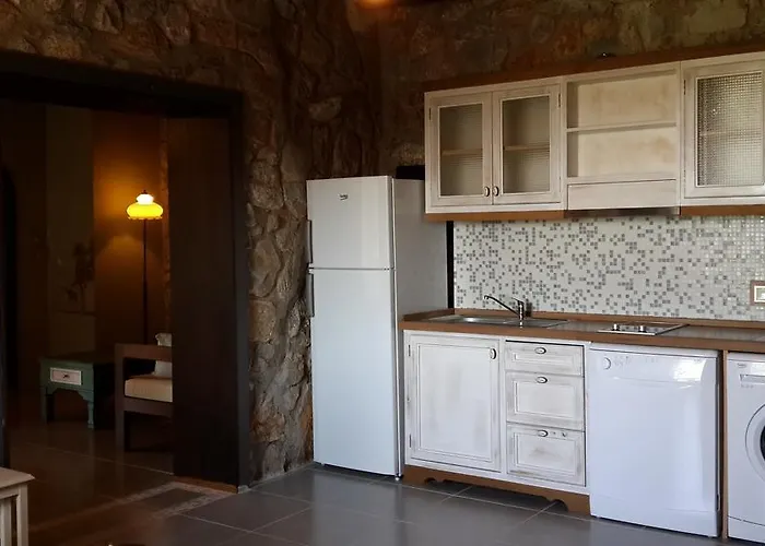 Pensjonat Antik Zeytin & Art Golturkbuku