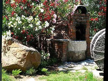 Antik Zeytin & Art בית הארחה גולטורקבוקו