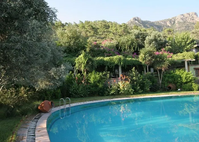 בית הארחה Antik Zeytin & Art גולטורקבוקו