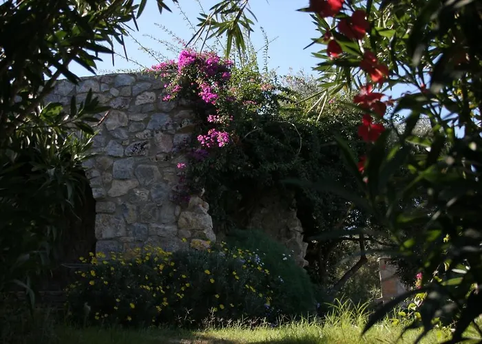 Antik Zeytin & Art 3*