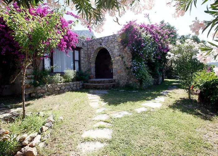 Antik Zeytin & Art בית הארחה גולטורקבוקו