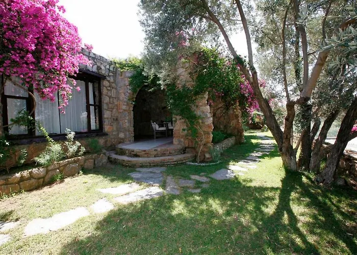 Pensjonat Antik Zeytin & Art 3*