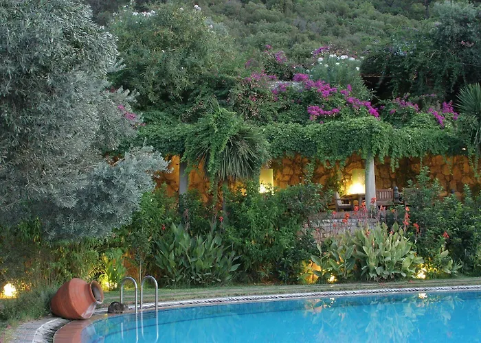 בית הארחה Antik Zeytin & Art