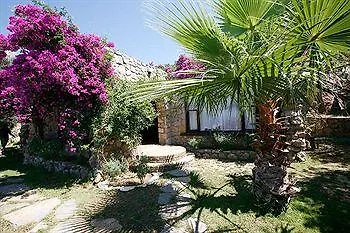 Antik Zeytin & Art 3*